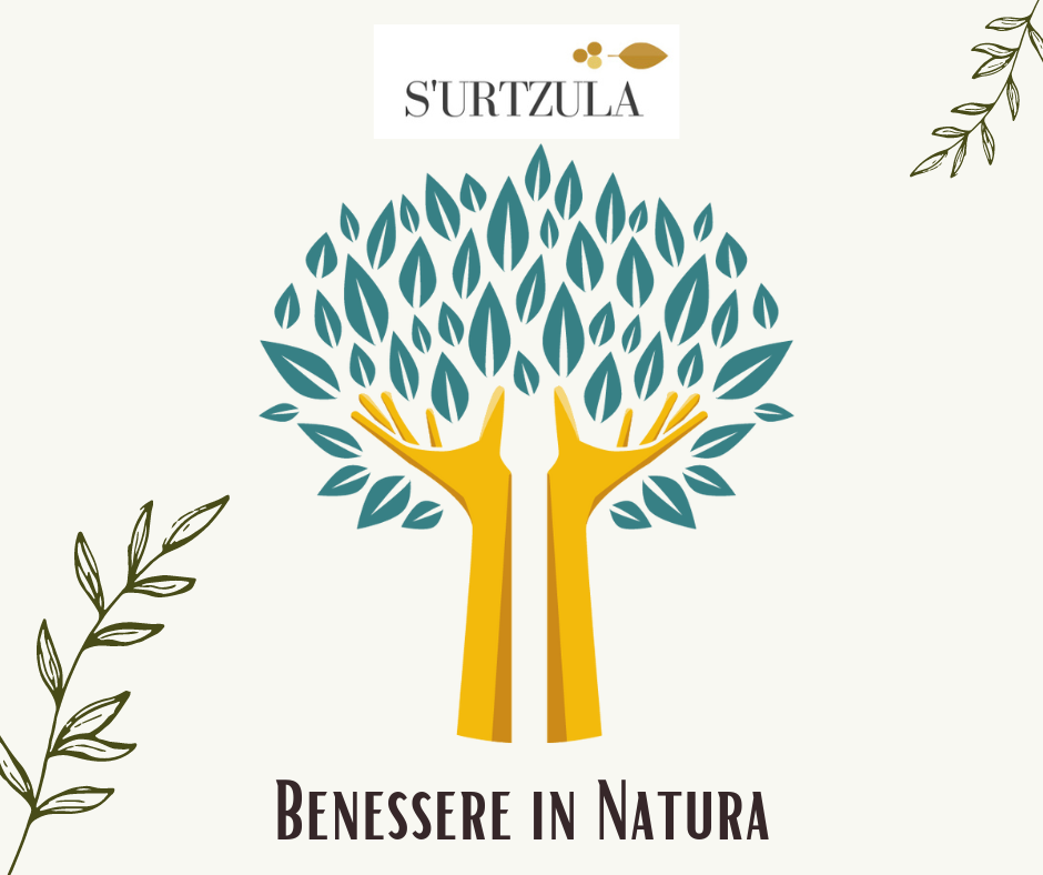 Benessere in Natura e meditazione in Sardegna